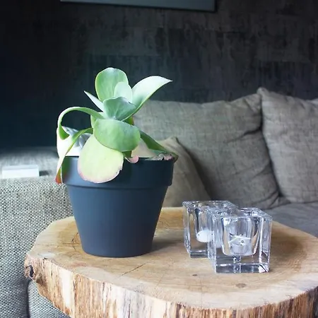 Apartmán Zandvoortverhuur Zandvoort
